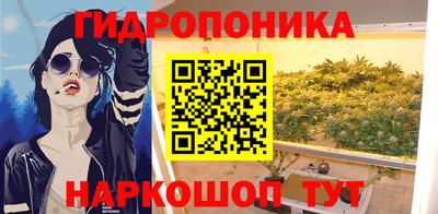 прущие крисы Изобильный